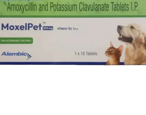 MoxelPet 250mg (Amoxycillin & Potassium Clavulanate) Tablet for Dogs and Cats 10 Tablets