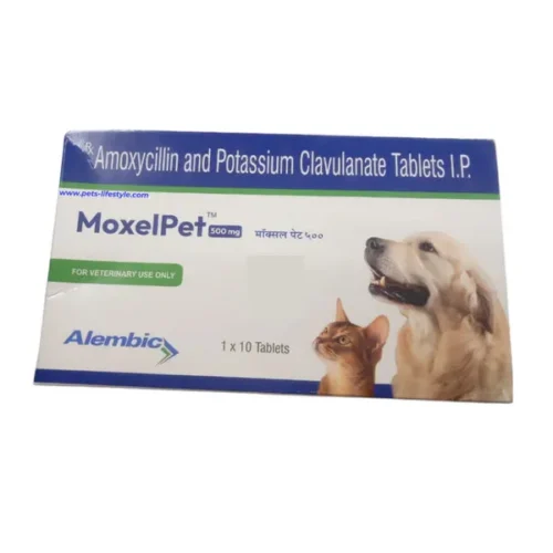 MoxelPet 500mg (Amoxycillin & Potassium Clavulanate) Tablet for Dogs and Cats 10 Tablets