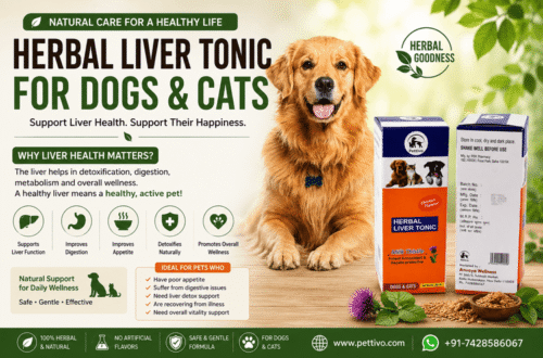 Herbal Liver Tonic for Dogs & Cats
